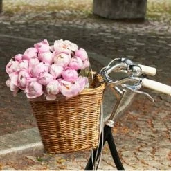 Grand Panier Sur Guidon De Vélo En Rotin Darcy L Basil -Remorques vélo Soldes grand panier sur guidon de velo en rotin darcy l basil full 5