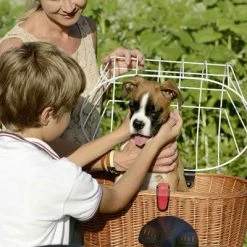 Kit Panier Vélo Chien Doggy Plus + Fixation GTA Klickfix -Remorques vélo Soldes kit panier velo chien doggy plus fixation gta klickfix full 6