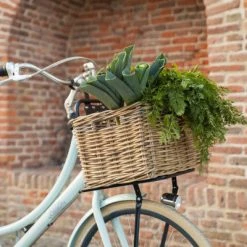 Porte-bagages Avant Pour Vélos De 20 à 24 Pouces Steco -Remorques vélo Soldes porte bagages avant pour velos de 20 a 24 pouces steco full 4