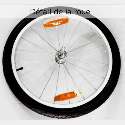 Remorque Pour Vélo Maxxus - 2 Places 4 Remorque Pour Vélo Maxxus - 2 Places – Image 4