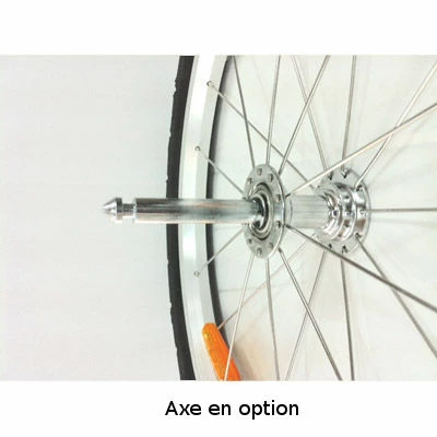 Maxxus Roue 20 Pouces Pour Remorque Vélo 3 Maxxus Roue 20 Pouces Pour Remorque Vélo – Image 3